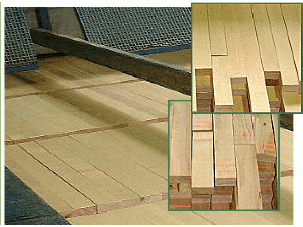 A variety of beech grades are processed for flooring, furniture components, cutting boards and similar uses.
