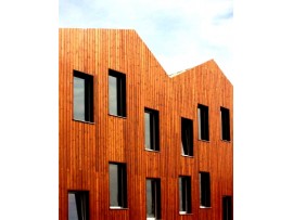 Thermowood© vertical cladding